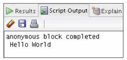 Script Output