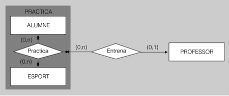 Exemple d'agregació d'entitats sense redundáncia