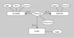 Interrelació ternària amb connectivitat M-N-P