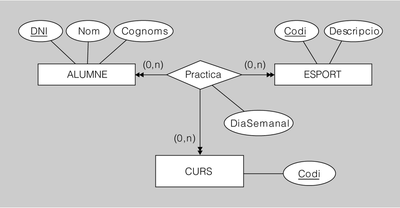 Interrelació ternària amb connectivitat M-N-P